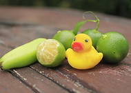 2019-05-11/7e0255c451cc99340914b00ab50d9e32_b9f12c07d8ff3a47acd081a5bf406360