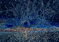 2019-05-12/013a06268b857fb053c8d0fa217f82eb_1c2c00bb146d2cddd2e45a87314468c4