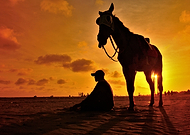 2019-05-12/1997e39c8a14638425dc74106aece3b2_7ce80acecb4ab2e14e0402ce2909f5c6