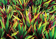 2019-05-13/307a9c3b137b84f970dfe1eebd584f58_a1c4c6f4f53126433537761d8834f07c