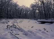 2019-05-13/cdc702c7208e7615a50a403f20457a1d_baa408a6fa88c4fee870e91545091758