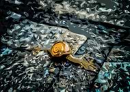 2019-05-14/0ed1a27cd7326da718430de02fd9fcd3_bd47ed18722fc71a8d67e78e8a6ed0cb