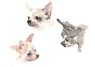 2019-05-14/171c5e1e0c82e6ad9b296ec4e0b0ddab_00e2d8a5b55001aa2bdc15673150c2d7