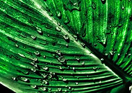 2019-05-14/239a2831fc327a5e85b8820fe777dcf6_9511549798c0466548ef31e4a931dbb9