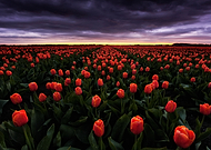 2019-05-14/5745b93ec09566fa0f070668de8e82e3_d304cb176b2dd30ad898a69fb13f22b4