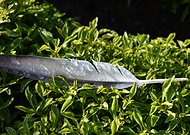 2019-05-14/9184e47d0ba8196c1e75b3b9abd26b1d_70f900b230b8f507b7c1f0a3267d1845