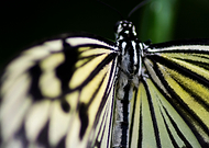 2019-05-14/a9b351a2a665f07c7e61b0b80093592d_4f4662223e05edffd3f9f66f6ca28748