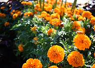 2019-05-14/f246cb8d708efe2bb61768db98c62cc9_932a2d72e5ca0f4d9e9a82155a049bc1