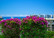 2019-05-14/fcd25d80ef3c036a6470aecb667a7b36_58ca0bc0fb3b320f1c821f67ffb6f20e