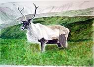 2019-05-16/033435afc45c54bdb3e9efea8cf4a6e0_c14017a2038db5c74bb6060ae5e718ab