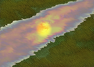 2019-05-16/8271551cc354fb2277824a625a7b7bd3_a216d6e1e09778ed0dd139a047c37e2e