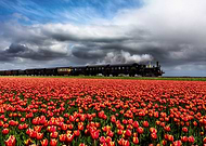 2019-05-16/9300a2120aed0bdb79a021cda7b18c4b_bba64d680bdb52bcbe9cd2e77b012eb8