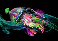 2019-05-16/c53ac08be5b9475e31cb13a6f74169ea_aba2985d5cba8857f37479550003673f