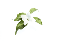 2019-05-17/5d5b208354c7c6a06edb55849dc346d7_ff1deaf2cf2cffac6a0b50ca4af981a6