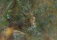 2019-05-18/9a1b07a19a3840136ba686273a1e870b_c947b0e0a235fe8ac3ca7139e8380a2f