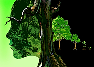 2019-05-18/d341c7bec3d4077fbc0a01a1c6662987_bbdf48b12c5b066fd5e2adcbaabda1b5