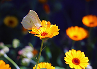 2019-05-19/0afbc4a7b3d23e023ce9d83a71e0618b_8e4d3948256c3b36948e2bc5703f38a5