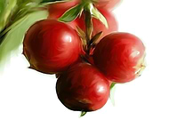 2019-05-19/afc2613dfdcddcdde1c785f473728d93_c404d886472a0a8d6e5705ebf6fcfe43