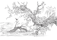 2019-05-20/09fbfefcfddcddbec732985d0741deac_5bfc333eb12ba5852c069bbc8c9372ca