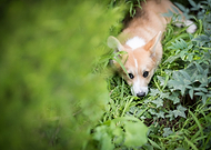 2019-05-20/5f170646fb68f3b0f0c4a3fbb382752b_986db40fbc7900a318d4797924d86137