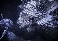 2019-05-20/62d6da2d2738944a26186a6ccf3d5860_540516390bce18f2a1595b2cac682726