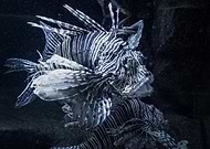 2019-05-20/78c3b966e416b61a9c32a300968f4ab7_36e545a378ab7ec16cb2f639ce6ae71a