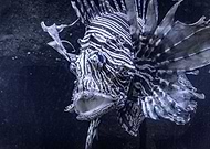 2019-05-20/fdc4e4aab57af5d5f34f354a45dfed46_96b0b843bb244ad990e8489c1d9e4113