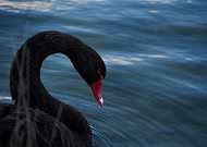 2019-05-21/0c49205e0343b22116184e9a7d32ad68_7ea9a4f0d44172e37b4705d3a7bed9c3