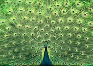 2019-05-21/31a419bf27193763f007c3526a00be30_472082510c6234909700bebc7e3035ab