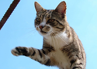 2019-05-21/58c2a05ef2f70dbcad2c1f129b0baebb_a921cda0a77f7be71a5b66518bdc2053