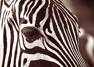 2019-05-21/75d59c618774673bdfc09bc851c0d25e_bce5b11caa0e395de47746f88a73cbd2