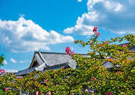 2019-05-21/a1c63fe05e4ce1479eeac451dde710cb_30ab40554408de2c09d8a5c3df12ae97