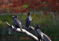 2019-05-21/e0c5c073ed19ad73a275a0445649e4b2_045cd3712d3512e313d8082413b7d0bb