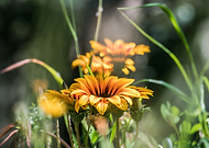 2019-05-22/34af773c7bf1b4ad372cb3db5be9f2c3_e863e7ad9406253a8b4c6acb9fa6c448