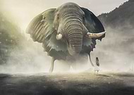 2019-05-22/b45378bc9a0c0440eb9489d07264e950_0e4d1d83738313728c71d2d5ffdf7562