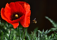 2019-05-22/b9ad37dcc0e355953550a07e0edb9c4a_585e3338d2941af50e5488ae8deb5838