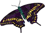 2019-05-23/3929e1bb28d932d33b2b0dab6009a212_cf26e011be5f433f86a8217bd13859f9