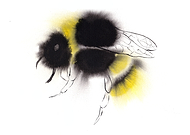 2019-05-24/15636042a5c8f3b3fd1610431654dc7e_451397ccfd10c04af5f651f8a9ef0296