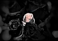 2019-05-24/5bef618874004b9b5b155e1ec0175c97_9a4364a0d2e7eb48510af9410f24961b