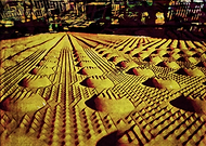 2019-05-24/67da40644d1b3510c405da4f890629dd_efdeb18460021068d86a2a867ef00634