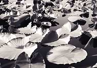 2019-05-25/215bfc4af7c5a57a5b47cd418fda299b_1e2e6090a86e7e49dafd285803289e02