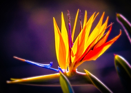 2019-05-25/e62187a0ac233efd4cd7c11e465c5586_f99d2ea1f301eb8d09dcb357e320219f