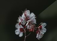 2019-05-26/1082c48005c398fef5b51821e7e2a28d_7f8a05ff1664bd94ab2c835c597e63f6