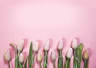 2019-05-26/28eff39da5b279010892580aacd2bb20_88c4b7266a1a0f90af86b6a6d4644982