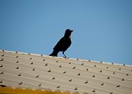 2019-05-26/5670a802ce09cfefc50f6b55d6986a76_ae76c1bd2d9b3969f6abe48a900b3a6e