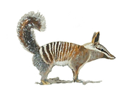 2019-05-26/70e0df403206dca5a84dfb417073ef4a_5fef743e214414298f590cebf5efe257