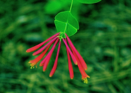 2019-05-26/81682a366abf31ac9d8be8f6658a7a57_d5943d57b5f1191c534533b669cab963