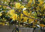 2019-05-26/8a48561074b3822077b13e1ab852c5ba_0cac5bd7e10bcbcbbc56142a61a15fe7