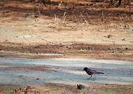 2019-05-26/8a4dac93fda5ca8ea306d9e7b1a46442_6899d90fd6753197a68af04d81e942c7