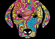 2019-05-26/8ec75ffb5641691e06c2f9987a589610_603d0603f6dbe5c73b43bea1fb02483d